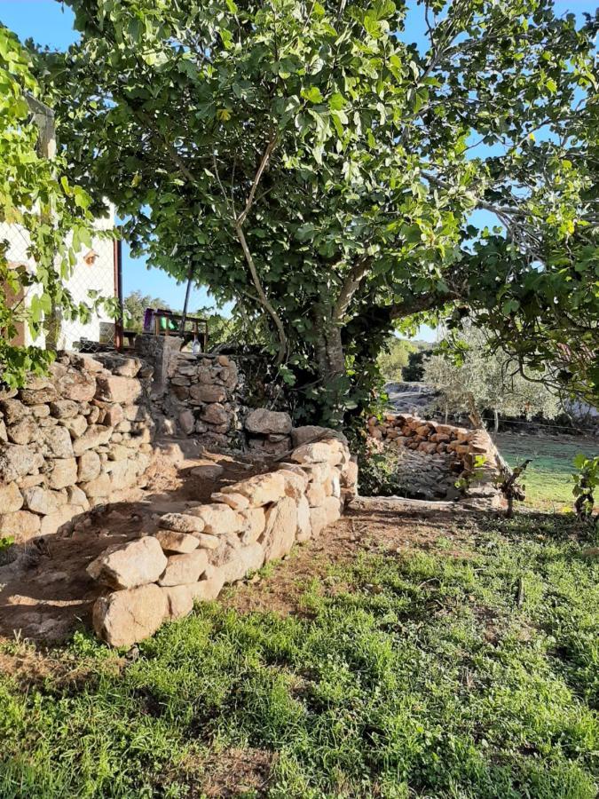 Magic Nature Lodge Marvao  Exterior photo